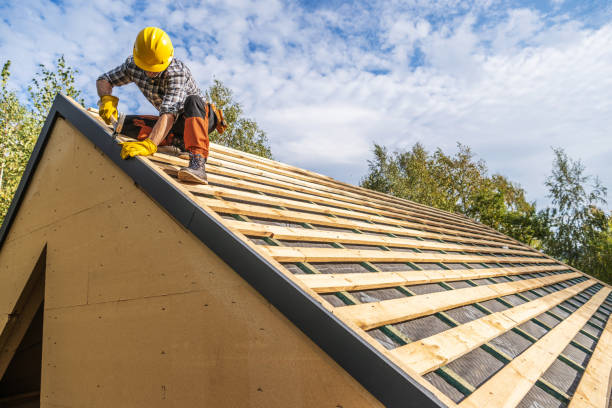 Professional Roofing Contractor in Valmeyer, IL